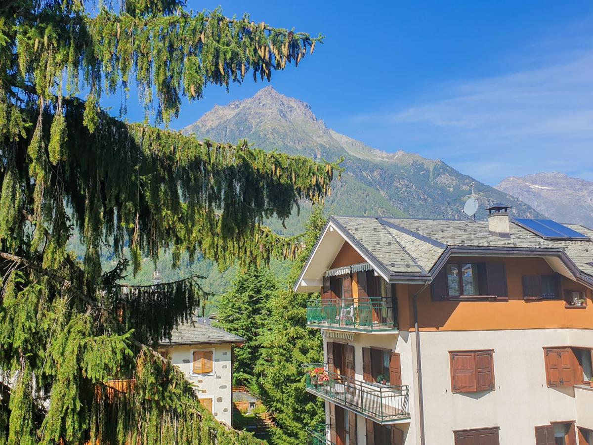 Hotel Fior di Monte Caspoggio Buitenkant foto